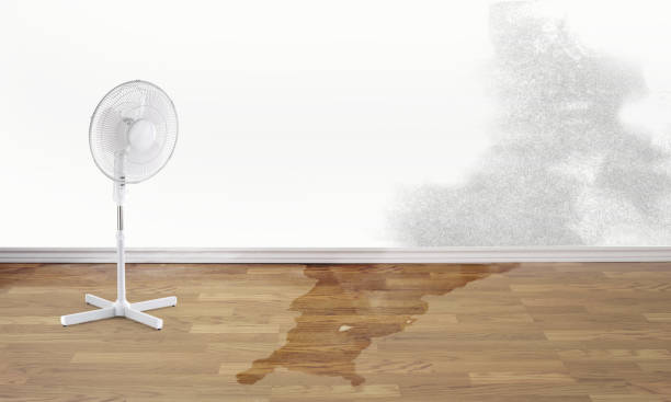 Best Ceiling water damage repair  in Middleborough Center, MA