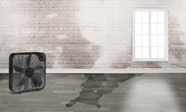 Best Water damage restoration insurance claims  in Middleborough Center, MA