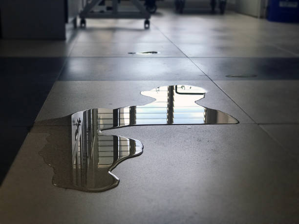 Best Carpet water damage restoration  in Middleborough Center, MA