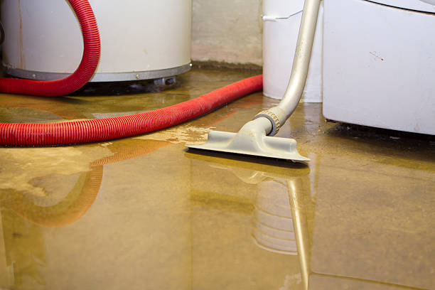 Best Mold removal after water damage  in Middleborough Center, MA