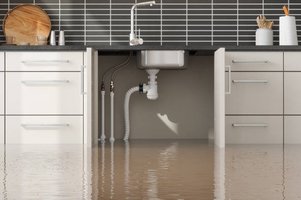 Best Local water damage restoration  in Middleborough Center, MA