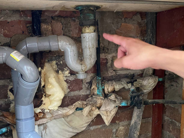 Best Water damage restoration near me  in Middleborough Center, MA