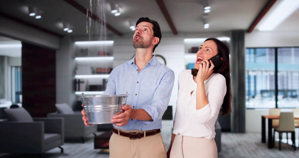 Best Flood damage cleanup  in Middleborough Center, MA